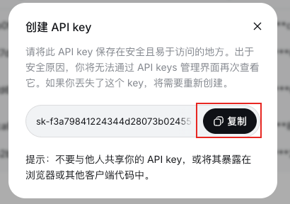复制 API Key